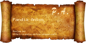 Pandia Antos névjegykártya